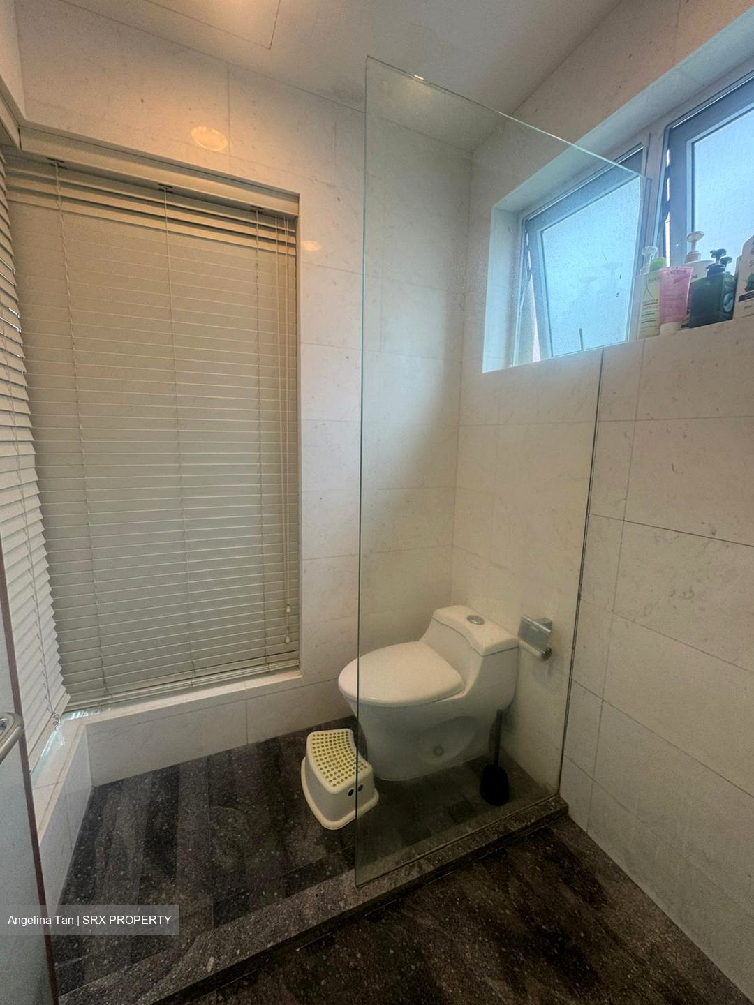 Toh Estate (D17), Detached #571765511